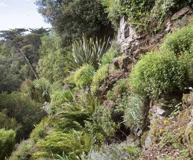 rocaille de plantes exotiques surplombant la rance