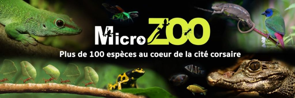 ZOO ile et vilaine