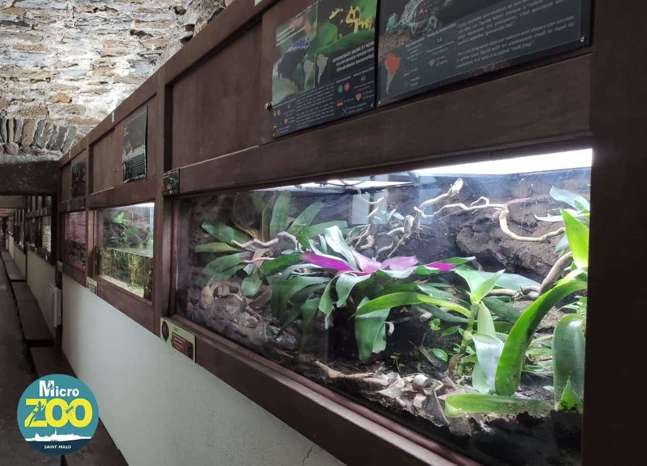 Visite de l'aquarium de Saint Malo avec un bébé