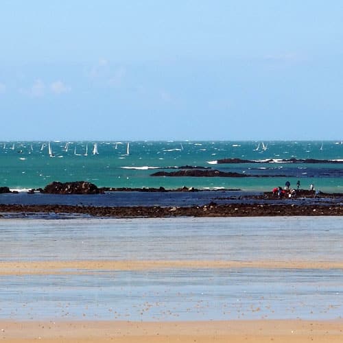 pêche à marée basse