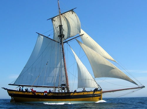 Bateau Le Renard à Saint-Malo